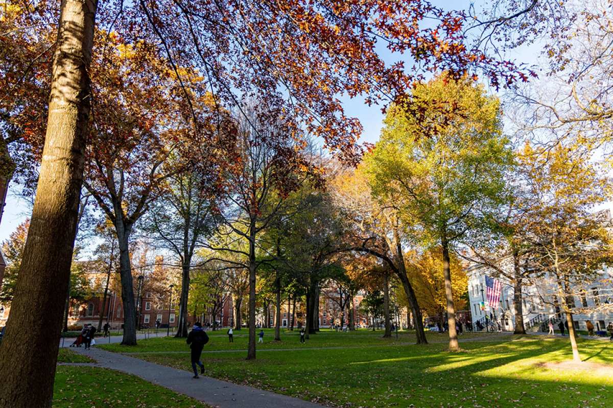 Harvard Yard in the fall
